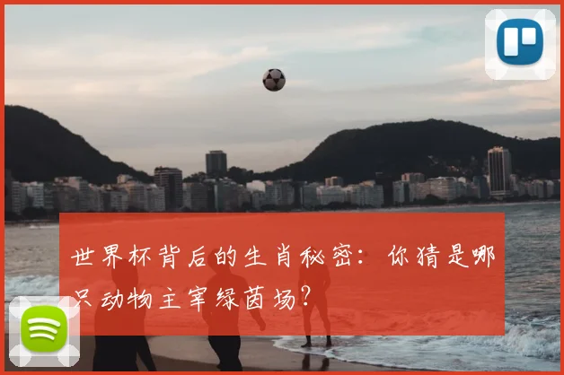 世界杯背后的生肖秘密：你猜是哪只动物主宰绿茵场？