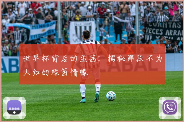 世界杯背后的孟茜：揭秘那段不为人知的绿茵情缘