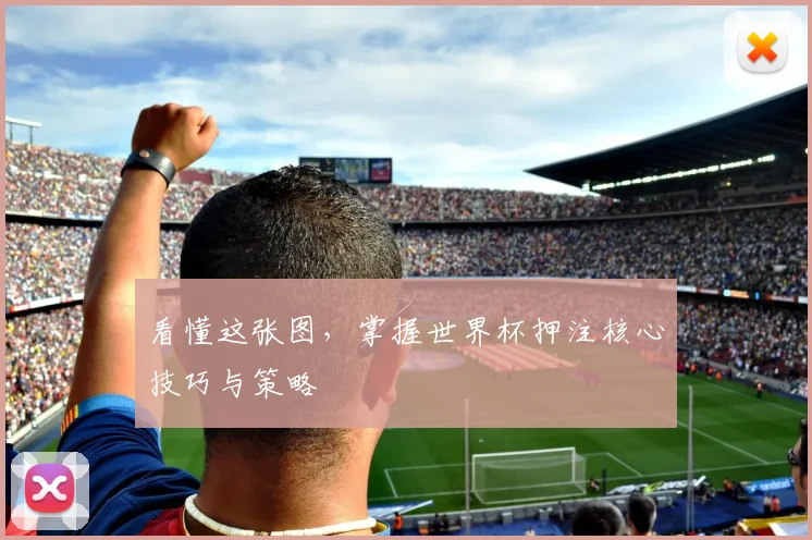 看懂这张图，掌握世界杯押注核心技巧与策略