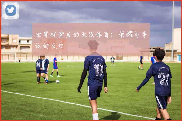 世界杯背后的竞技体育：荣耀与争议的交织