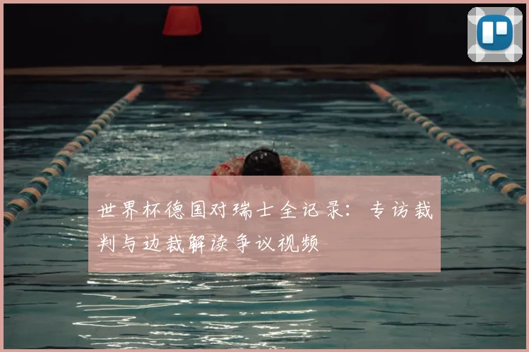 世界杯德国对瑞士全记录:专访裁判与边裁解读争议视频