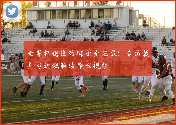 世界杯德国对瑞士全记录:专访裁判与边裁解读争议视频