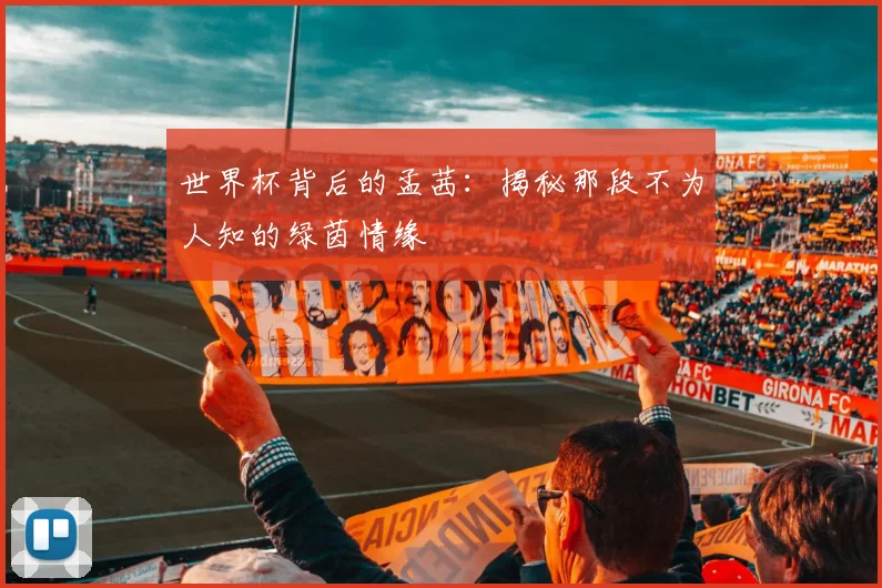 世界杯背后的孟茜：揭秘那段不为人知的绿茵情缘